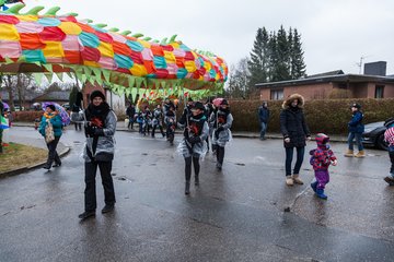Bild 245 - Latuff 2017